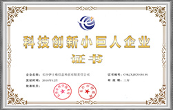 科技创新小巨人